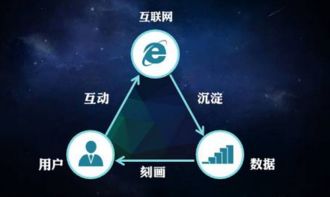 互聯(lián)網(wǎng)營(yíng)銷(xiāo)與互聯(lián)網(wǎng)銷(xiāo)售 數(shù)字化時(shí)代的商業(yè)雙翼